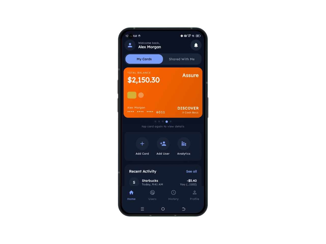 Ayris Pay - Discover Card view